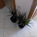 Διαμέρισμα Cabezas *