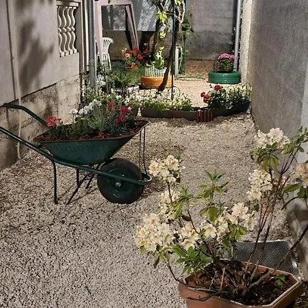 Cabezas דירה זאדאר