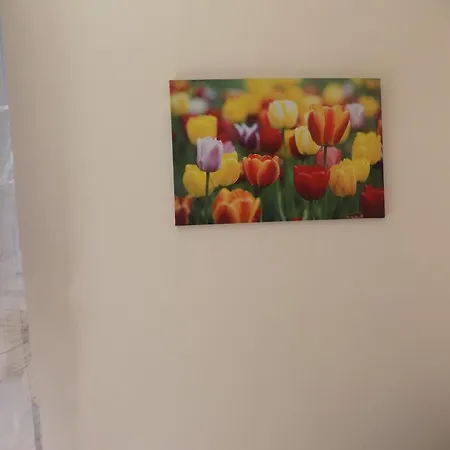 Cabezas Zára
