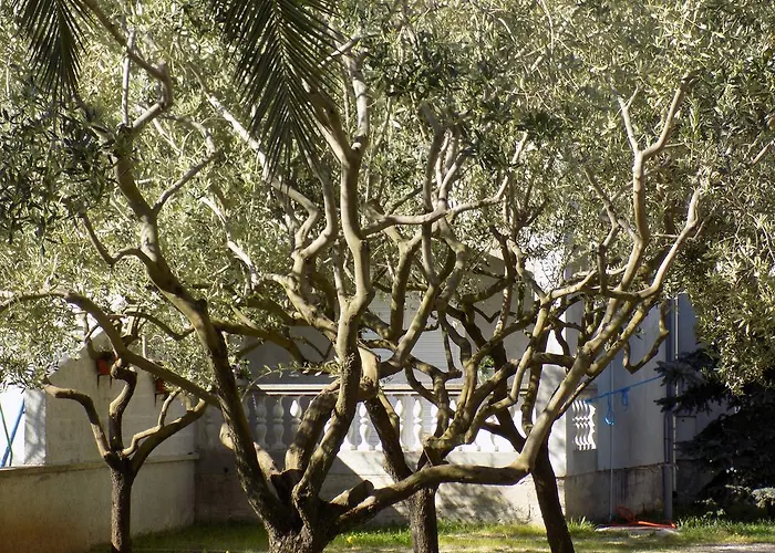 Διαμέρισμα Cabezas Ζαντάρ