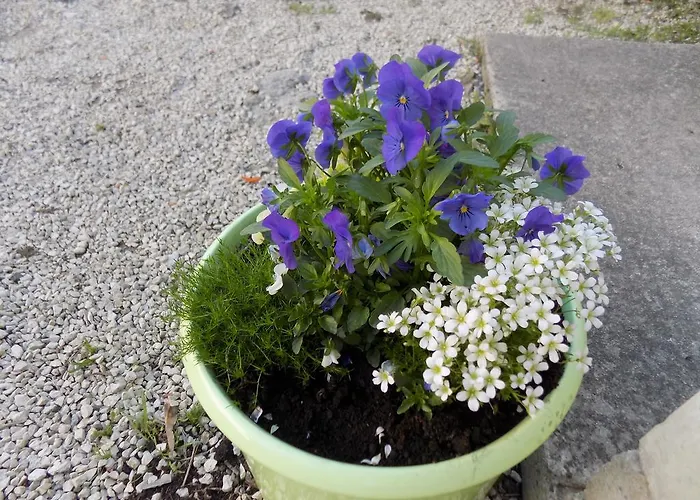 Διαμέρισμα Cabezas Ζαντάρ