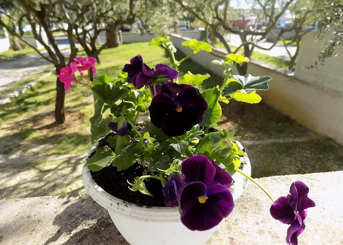 Cabezas * Ζαντάρ