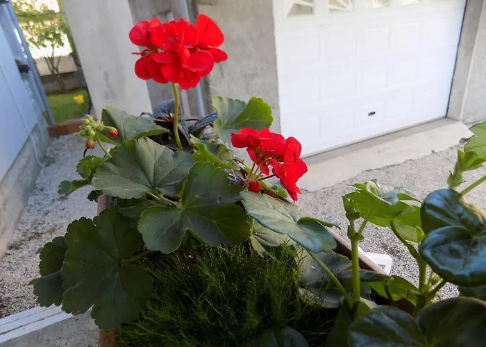 Cabezas Apartman Zára