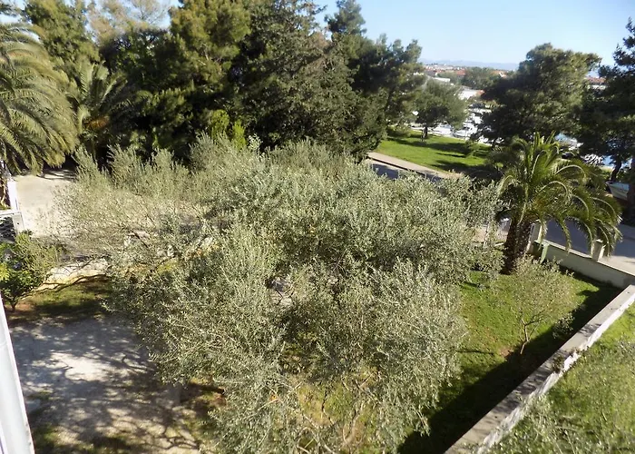 Cabezas Ζαντάρ