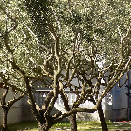 公寓 Cabezas 扎达尔