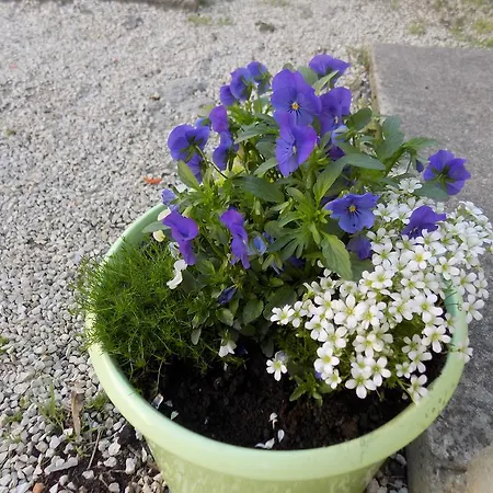 公寓 Cabezas 扎达尔