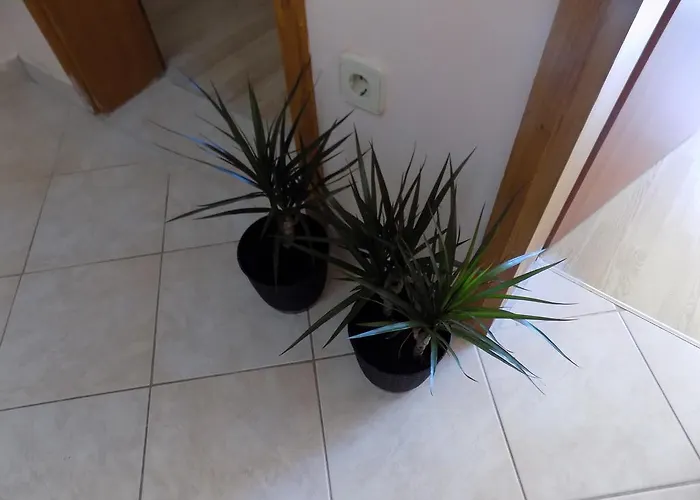 Apartamento Cabezas *