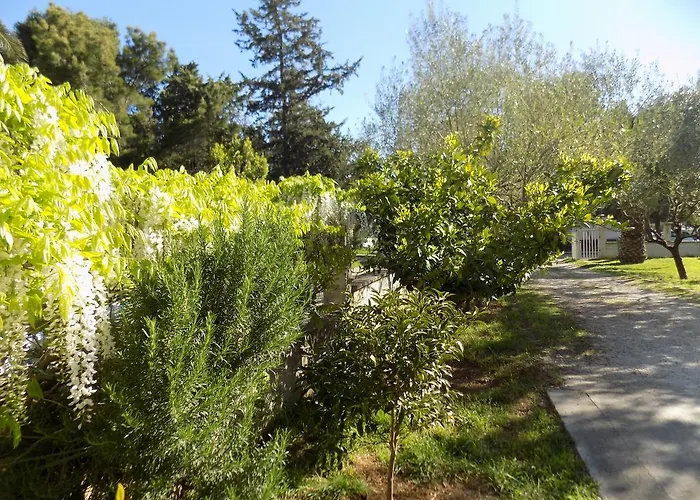 Apartman Cabezas Zadar